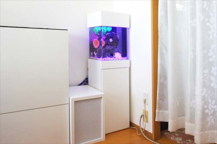 個人宅のリビングに設置　スタイリッシュな小型水槽事例 メイン画像