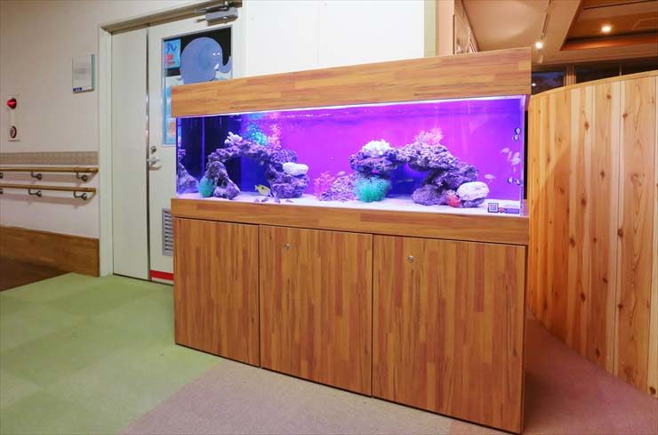 神奈川県　川崎市　福祉医療施設　150cm海水魚水槽レンタル事例 水槽画像２