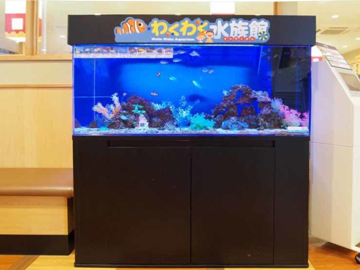 飲食店の待合室　カラフルな120cm海水魚水槽　設置事例 水槽画像３