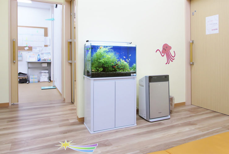 小児科　待合室　アクアリウム（淡水魚水槽）水槽レンタル事例 水槽画像４