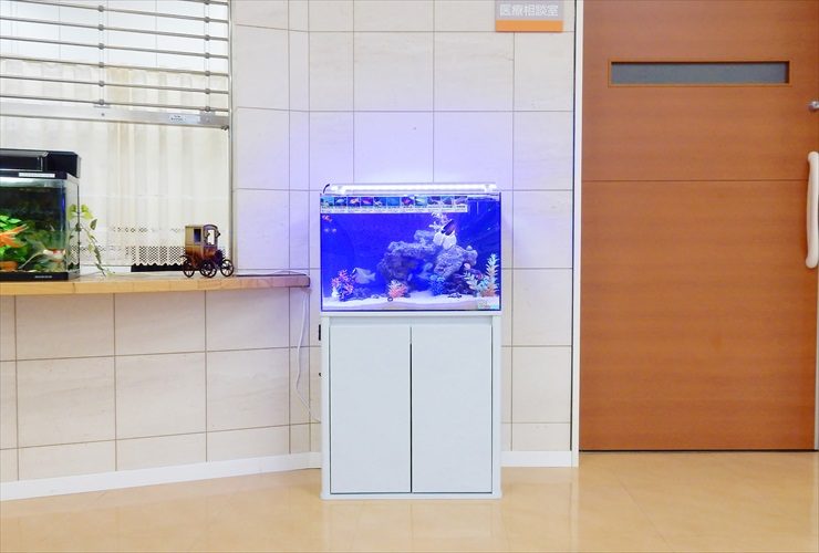 病院の受付フロアに設置　アクアリウム（海水魚水槽）レンタル事例 水槽画像３