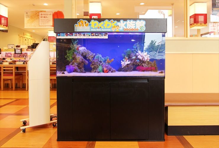 飲食店（回転寿司チェーン店）に設置 海水アクアリウムの水槽レンタル事例 水槽画像２