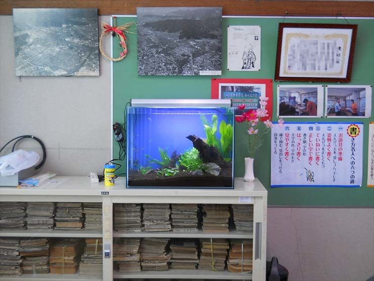 静岡県 校長室様  60cm淡水魚水槽  設置事例 水槽画像１