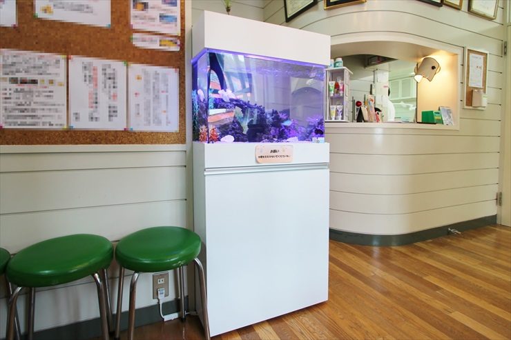 神奈川県横須賀市　歯科医院の待合室に設置　アクアリウム（海水魚水槽）のレンタル事例 メイン画像