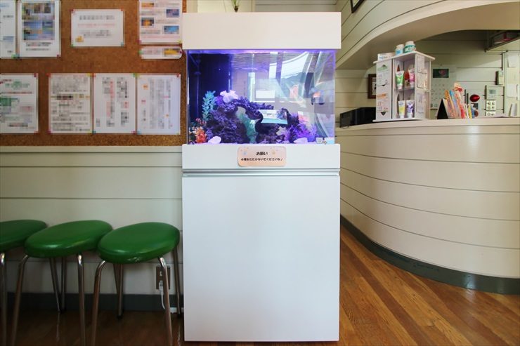神奈川県横須賀市　歯科医院の待合室に設置　アクアリウム（海水魚水槽）のレンタル事例 水槽画像３