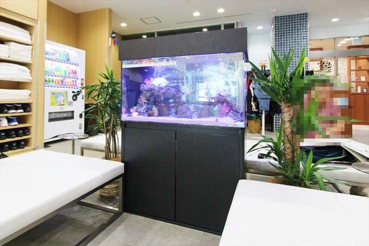 神奈川県　横浜市　スポーツクラブの待合室に設置　アクアリウム（90cm海水魚水槽）の事例 水槽画像３