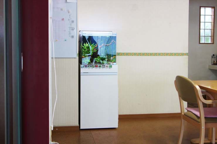 板橋区　住宅型有料老人ホームに設置　アクアリウム（45cm淡水魚水槽）の事例 水槽画像４