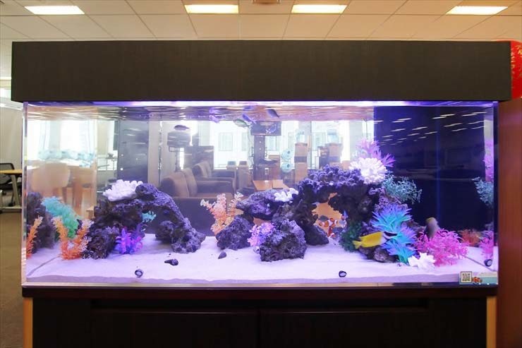 千代田区　企業様オフィスに設置　120cm海水アクアリウムのレンタル事例 水槽画像２