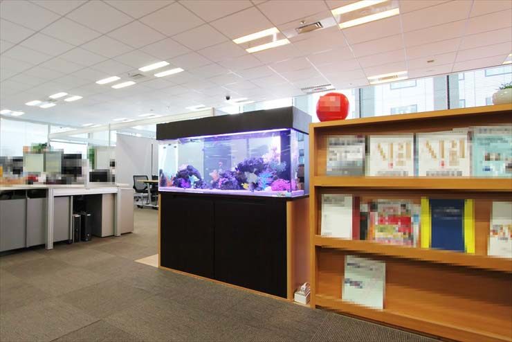 千代田区　企業様オフィスに設置　120cm海水アクアリウムのレンタル事例 水槽画像３