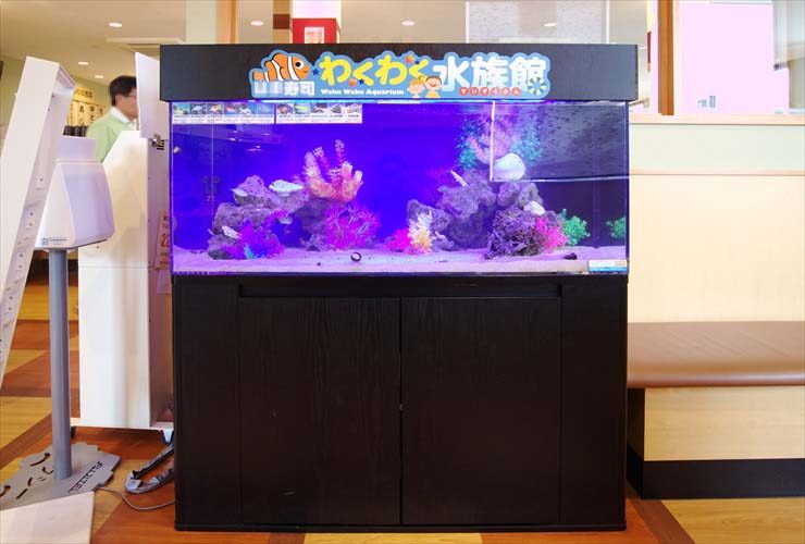 回転寿司チェーン店に設置　海水アクアリウム（120cm海水魚水槽）の事例 水槽画像３