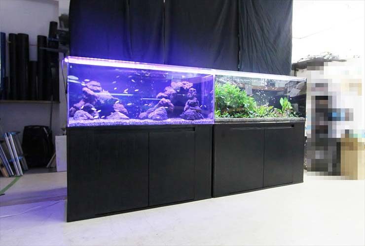 淡水アクアリウム（120cm水槽）　水槽レイアウトを日々勉強中 水槽画像２