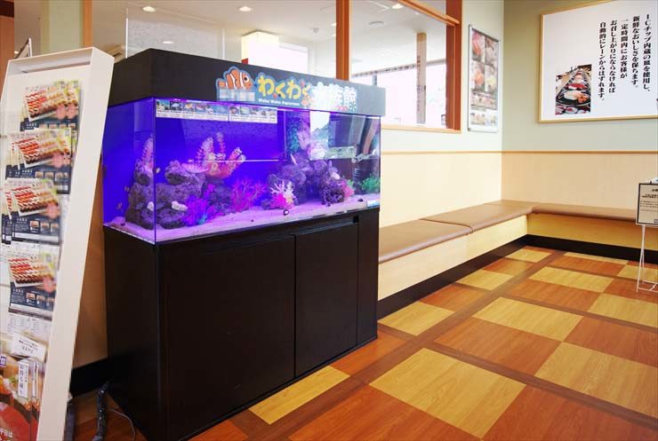 回転寿司店の待合スペースに設置　わくわく水族館（120cm海水水槽）の事例 水槽画像３