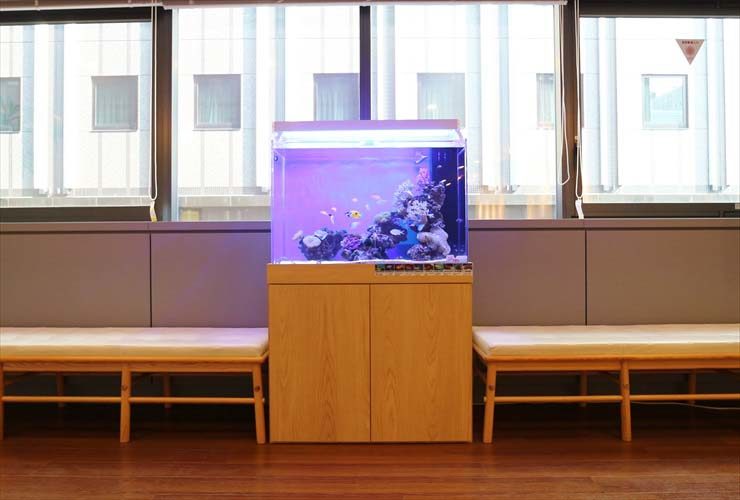 90cm海水魚水槽　オフィスのエントランスを活用しませんか 水槽画像３