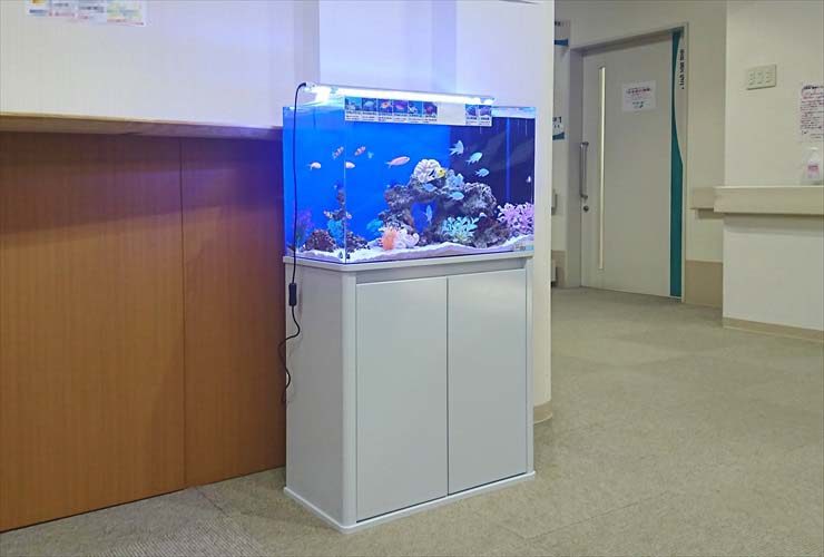 総合病院　待合室の活用で水槽を設置　不安や緊張を緩和します 水槽画像２
