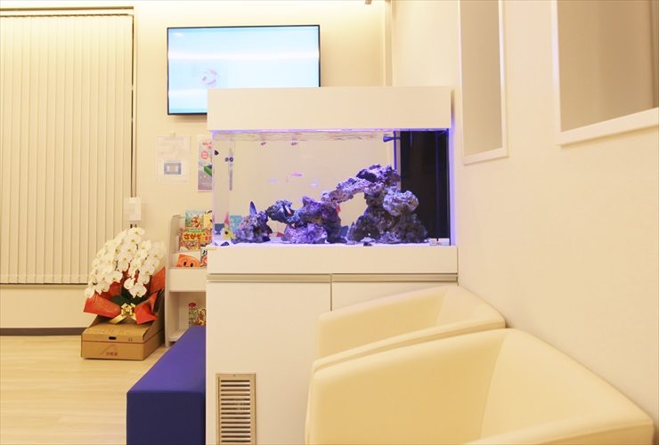 千葉県　歯科クリニック　待合室 水槽販売　設置　メンテナンス事例 水槽画像３