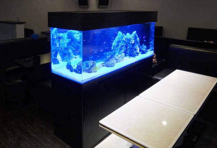 飲食店　クラブに設置 120cm海水アクアリウム　水槽導入事例 水槽画像１
