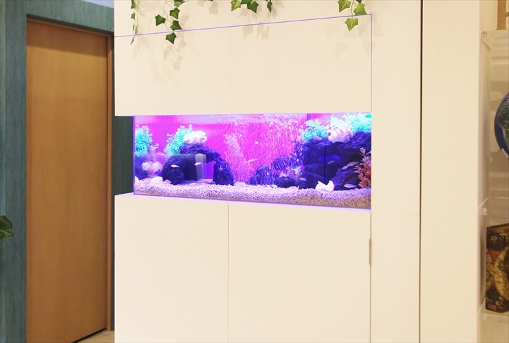 千葉県　船橋市　メンズサロンに設置　シクリッド水槽　はめ込み水槽事例 水槽画像２