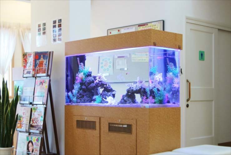 脳神経クリニック　待合室に設置　海水魚水槽レイアウト　リニューアル事例 水槽画像３