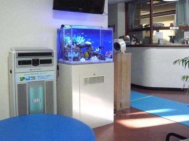 東京都羽村市 病院様  60cm海水魚水槽  レンタル事例 水槽画像２