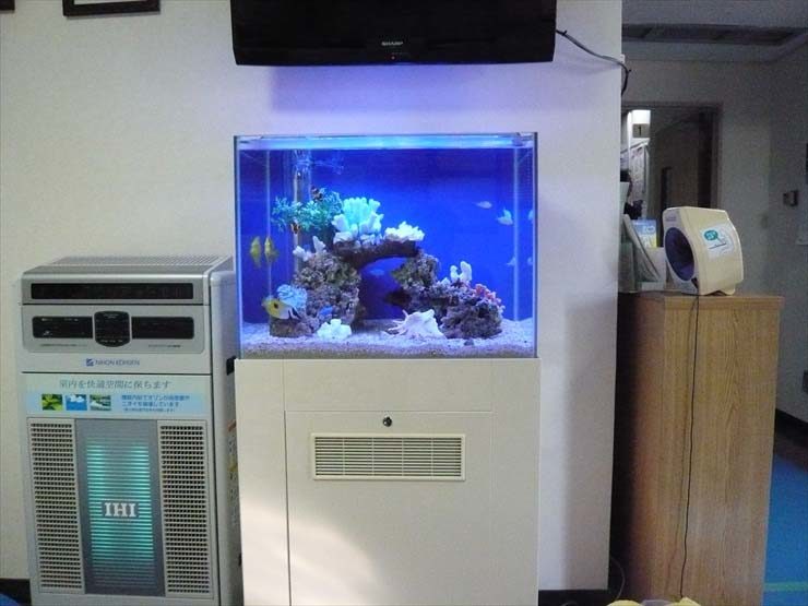 東京都羽村市 病院様  60cm海水魚水槽  レンタル事例 水槽画像３