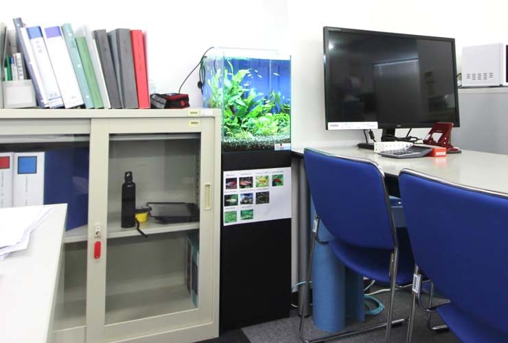 江東区　オフィス事務所 30cm淡水魚水槽　設置事例 水槽画像３