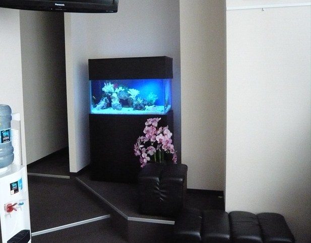 神奈川県横浜市 歯科医院様  90cm海水魚水槽  設置事例 メイン画像