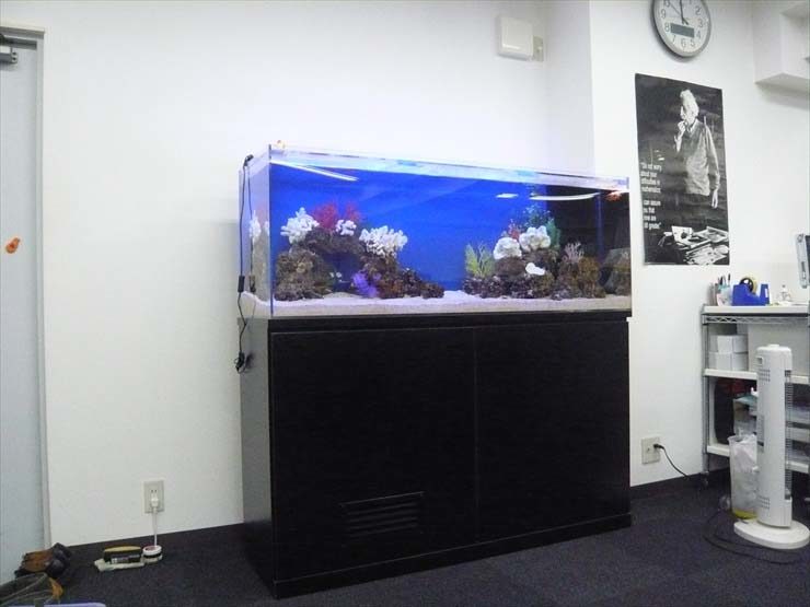 埼玉県川口市 企業様  150cm海水魚水槽  設置事例 水槽画像２