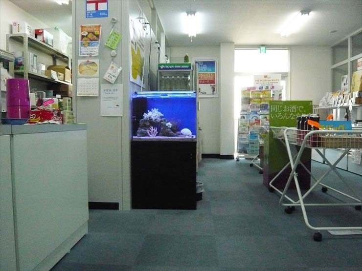 東京都板橋区 企業様  60cm海水魚水槽  設置事例 水槽画像１