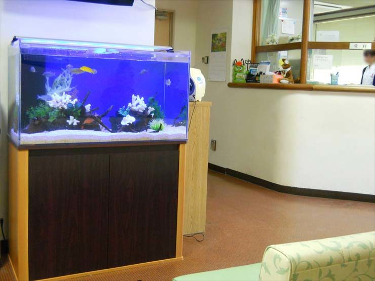 東京都羽村市 病院様  90cm淡水魚水槽  設置事例 水槽画像１
