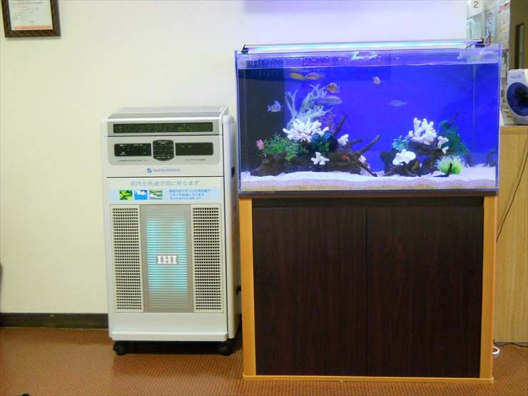 東京都羽村市 病院様  90cm淡水魚水槽  設置事例 水槽画像２
