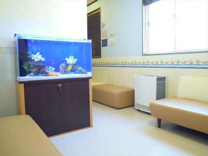 神奈川県茅ケ崎市 小児科様  90cm海水魚水槽  レンタル事例 メイン画像