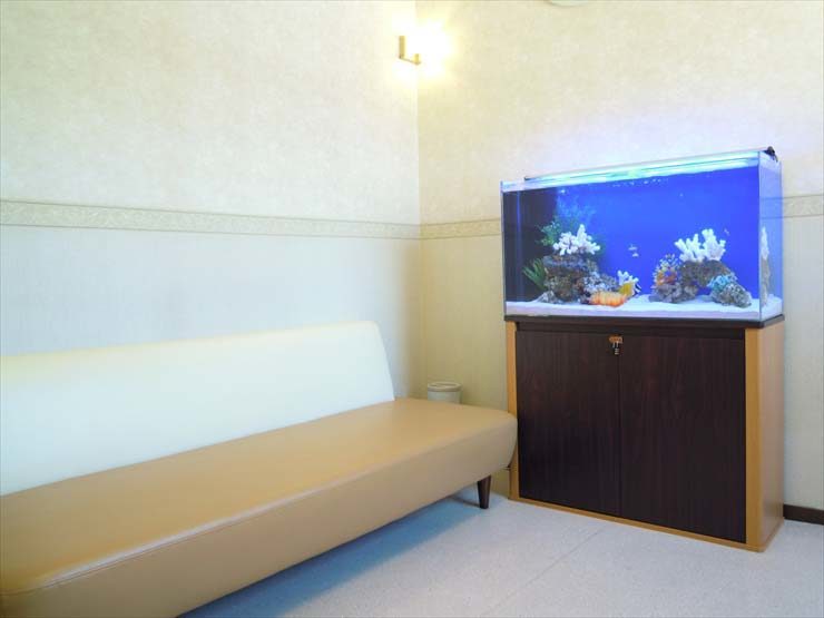 神奈川県茅ケ崎市 小児科様  90cm海水魚水槽  レンタル事例 水槽画像３