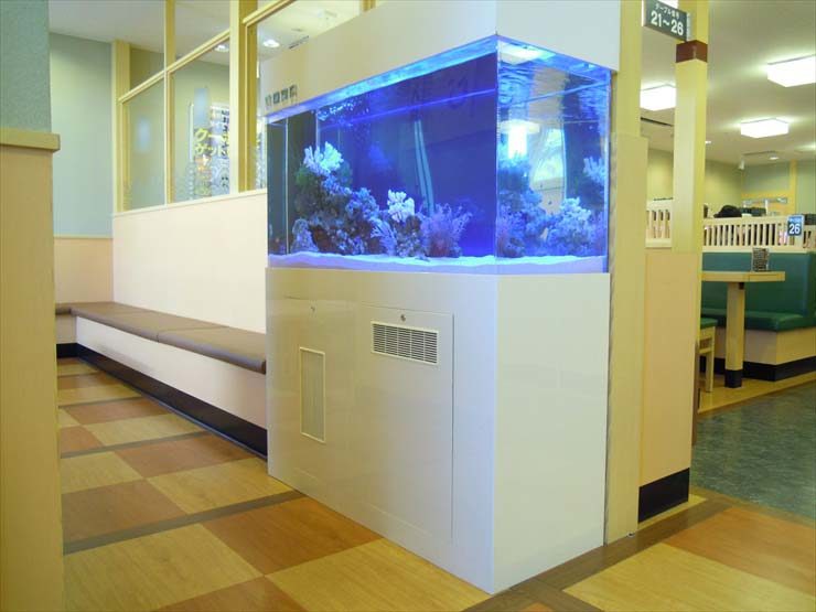 神奈川県海老名市 飲食店様  120cm海水魚水槽  設置事例 水槽画像１