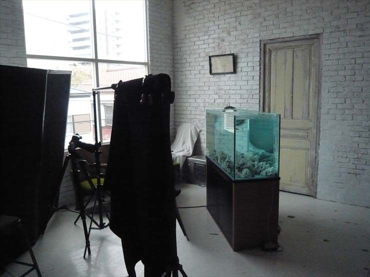 都内 撮影スタジオ様  120cm淡水魚水槽  水槽短期レンタル事例 水槽画像２