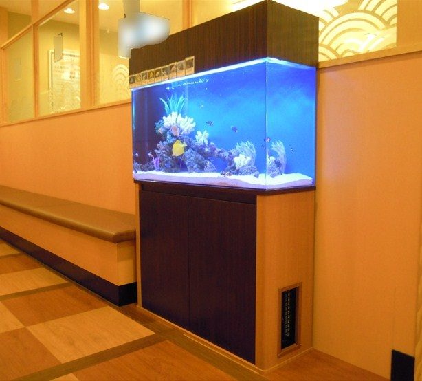 神奈川県海老名市 飲食店様  120cm海水魚水槽  設置事例 水槽画像３