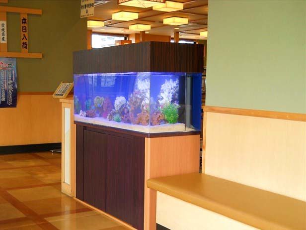 栃木県 飲食店様  120cm海水魚水槽  設置事例 水槽画像２