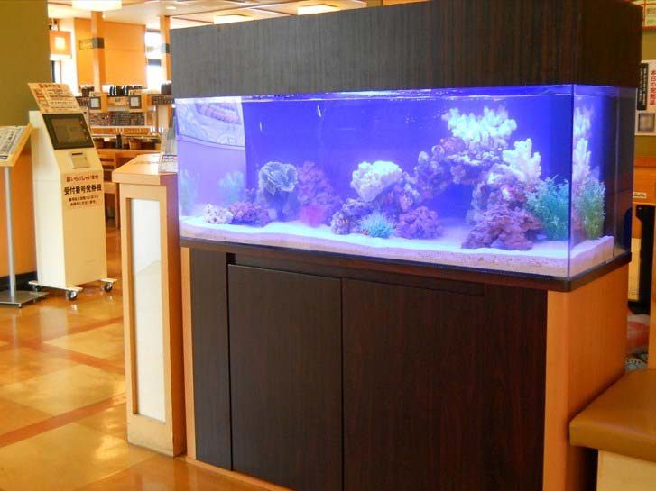 栃木県 飲食店様  120cm海水魚水槽  設置事例 水槽画像３
