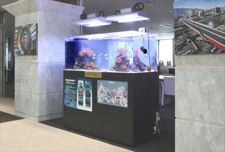 横浜市 オフィスのエントランス 150cm海水サンゴ水槽 販売・メンテナンス事例 水槽画像２