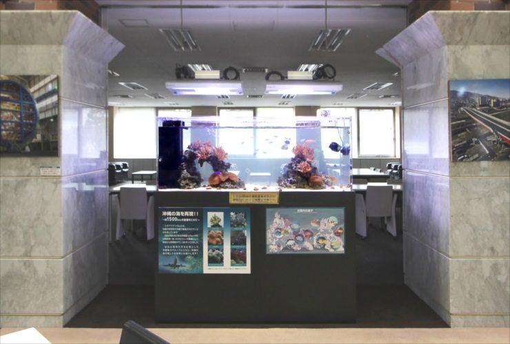 横浜市 オフィスのエントランス 150cm海水サンゴ水槽 販売・メンテナンス事例 水槽画像３
