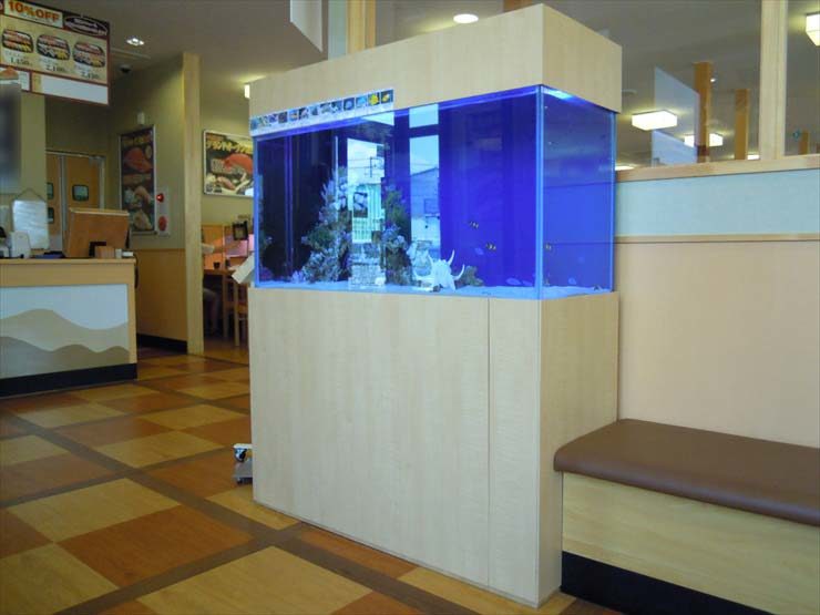 神奈川県平塚市 飲食店様  120cm海水魚水槽  設置事例 水槽画像１