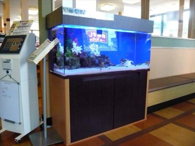 埼玉県さいたま市 飲食店様  120cm海水魚水槽  設置事例 メイン画像