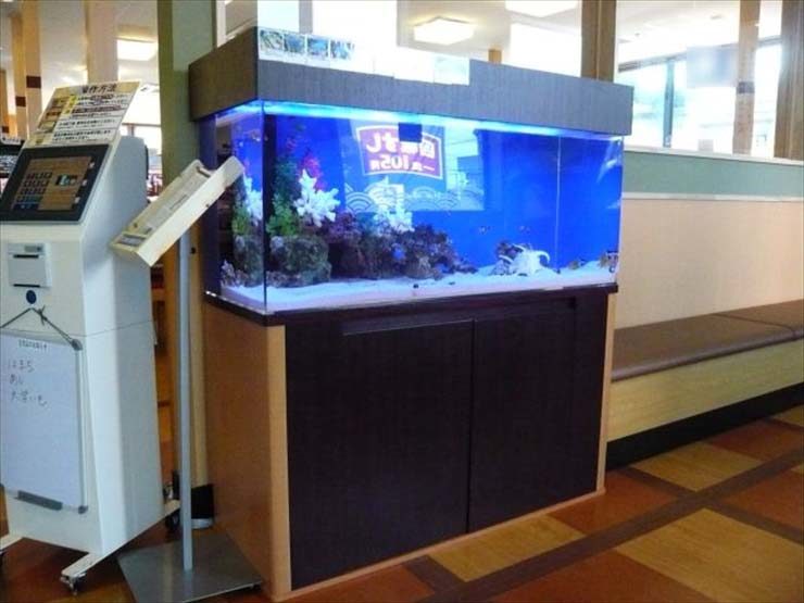 埼玉県さいたま市 飲食店様  120cm海水魚水槽  設置事例 水槽画像１