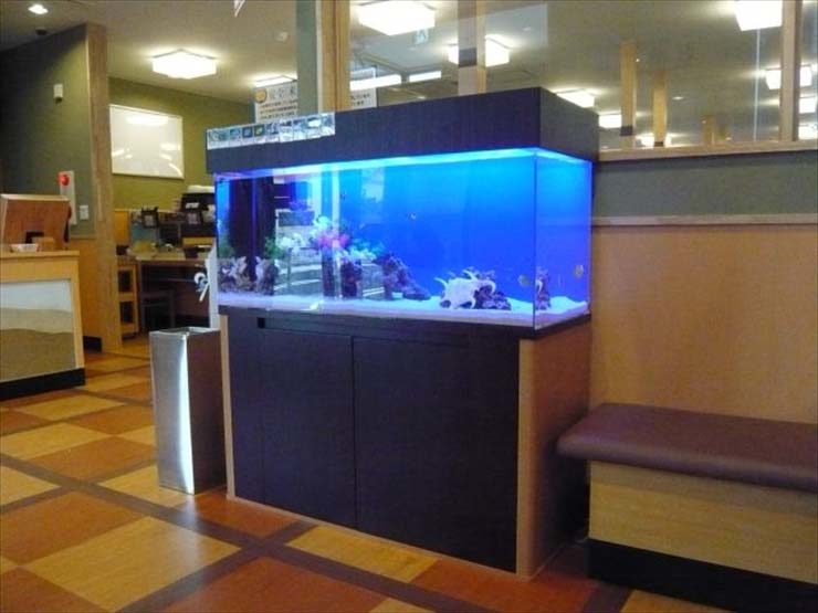埼玉県さいたま市 飲食店様  120cm海水魚水槽  設置事例 水槽画像２