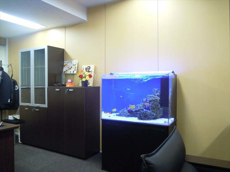 渋谷区 企業様  90cm海水魚水槽  設置事例 水槽画像２