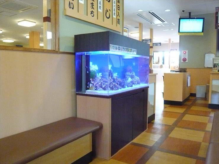 神奈川県綾瀬市 飲食店様  120cm海水魚水槽  設置事例 水槽画像２