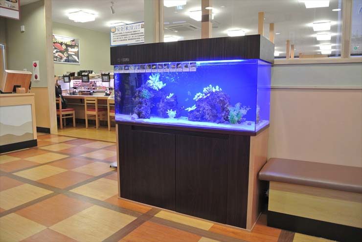 埼玉県草加市 飲食店様  120cm海水魚水槽  設置事例 水槽画像２