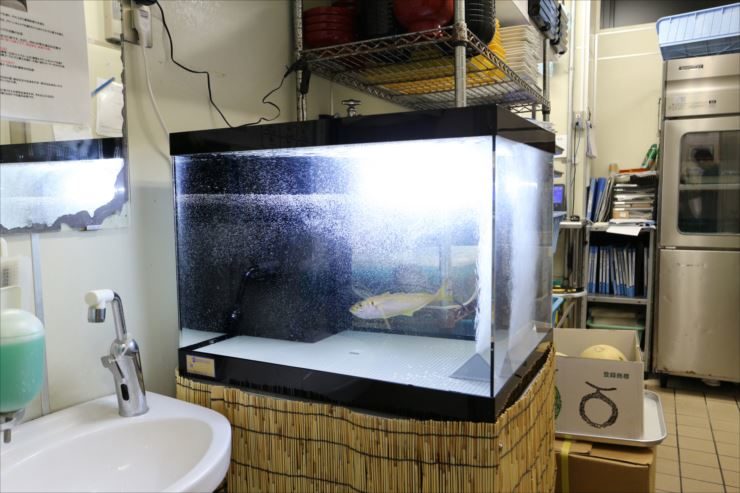 飲食店様  60cm活魚水槽　水槽一式販売・設置事例 メイン画像