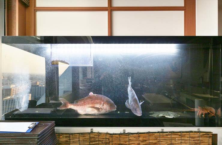 中野区　複合施設　日本料理店 活魚水槽　販売　設置事例 水槽画像１