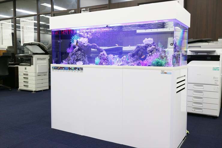 新宿　オフィス　アクアリウム 150cm海水魚水槽レンタル事例 水槽画像１