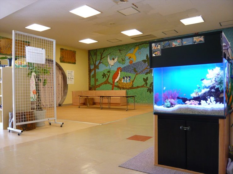 東京都杉並区 佼成育子園様  60cm海水魚水槽  設置事例 水槽画像１
